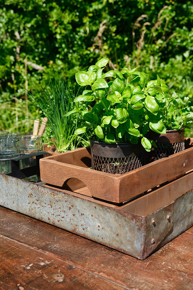 Trademark Living Indore stor jernbakke