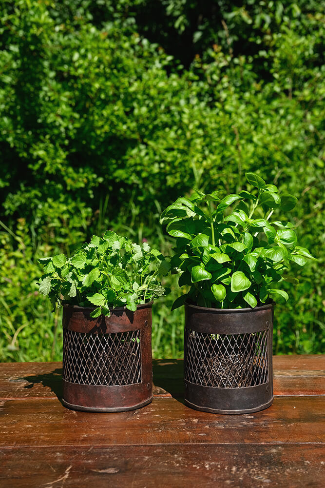 Trademark Living Mercer beholder