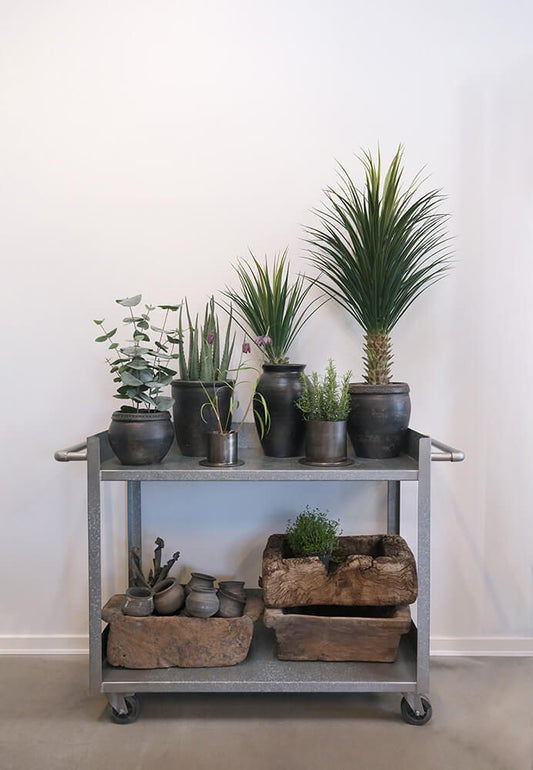 Trademark Living Fred urtepotteskjuler - S