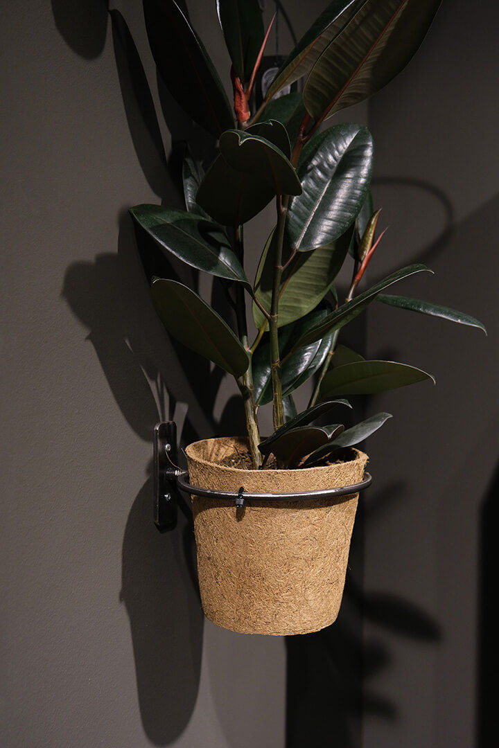 Trademark Living Minko vægbeslag med jernring - M