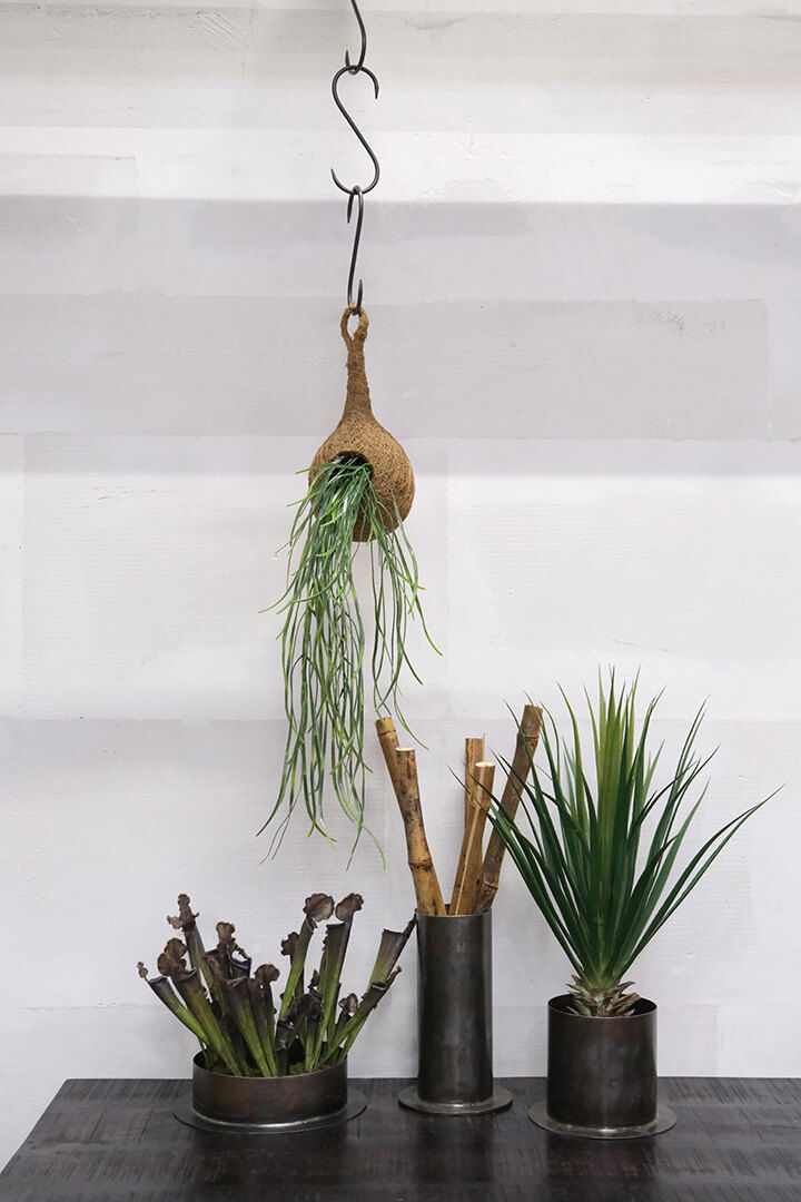 Trademark Living Fred urtepotteskjuler - L