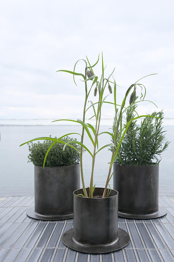 Trademark Living Fred urtepotteskjuler - M