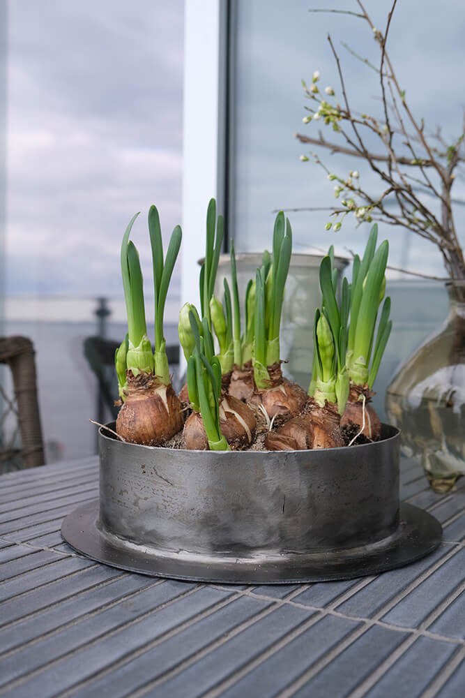 Trademark Living Fred urtepotteskjuler - L