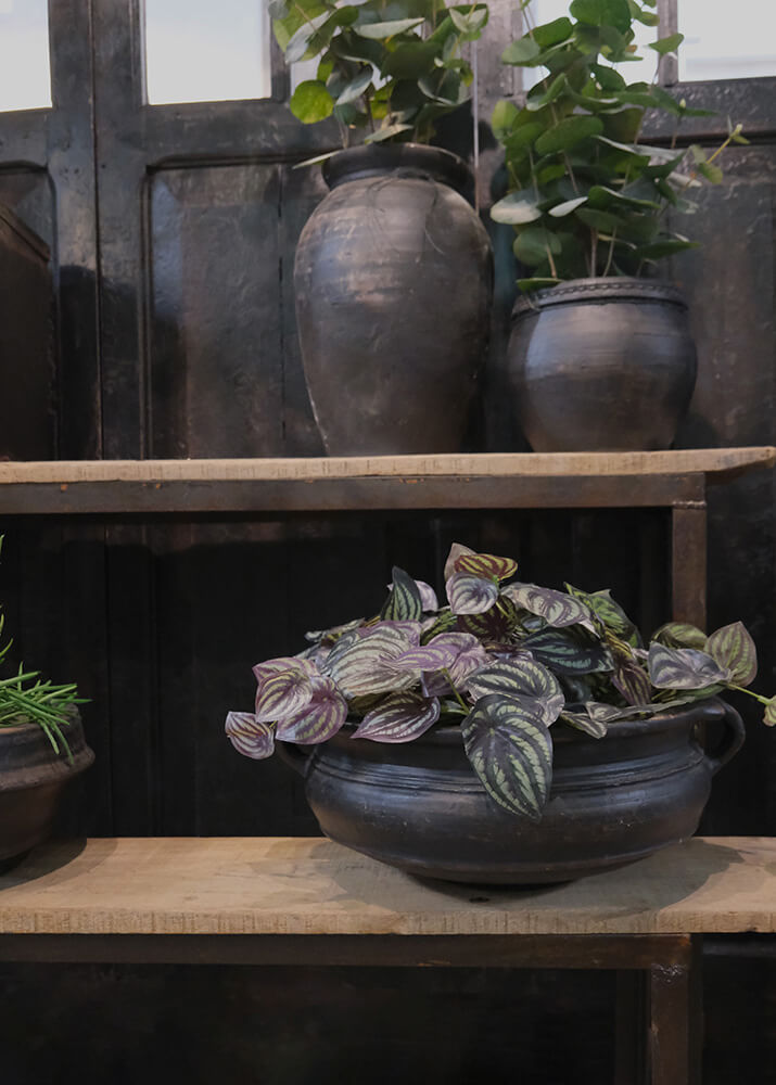 Trademark Living Botanic lerkrukke med håndtag - S