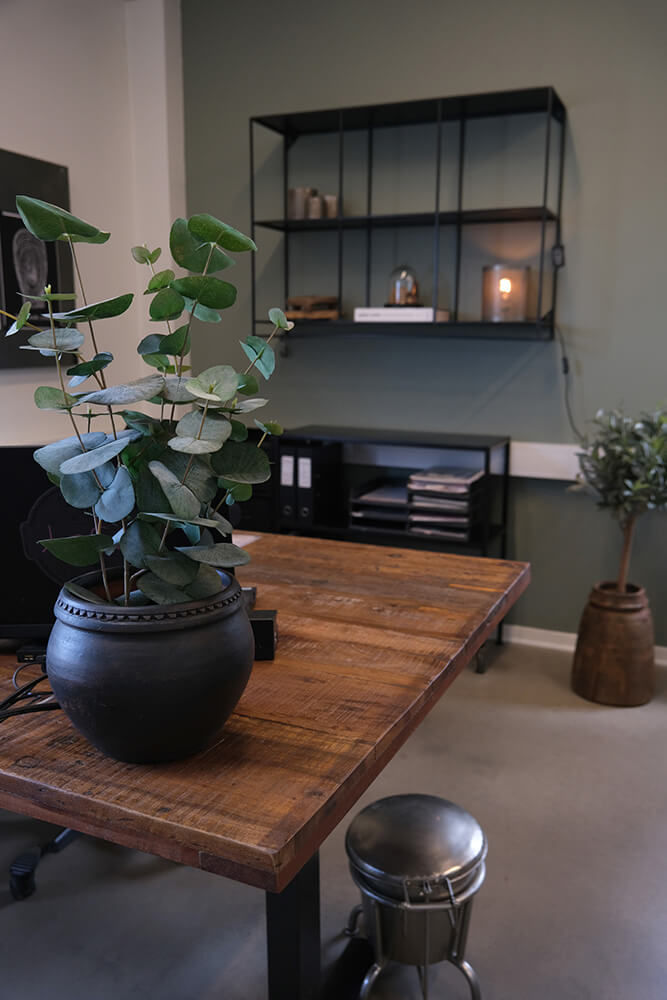 Trademark Living Klapp pedalspand shiny - S