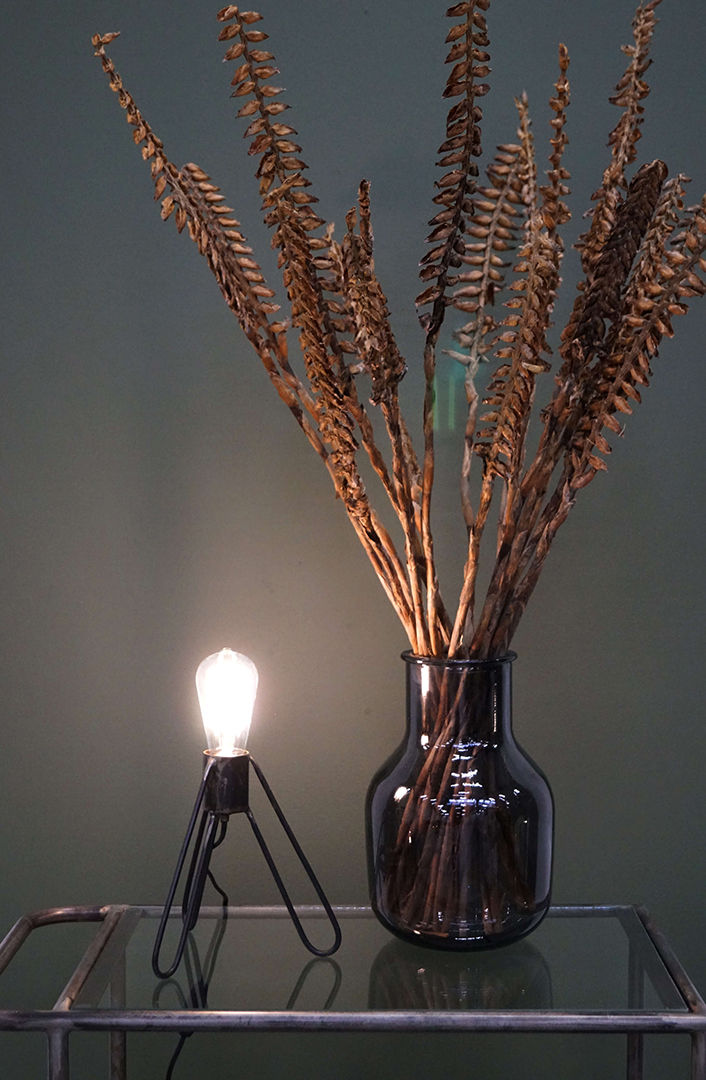 Trademark Living Ignis LED-pære - kan dæmpes