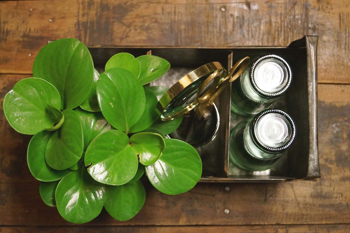 Trademark Living Joan zinkkasse med tre rum