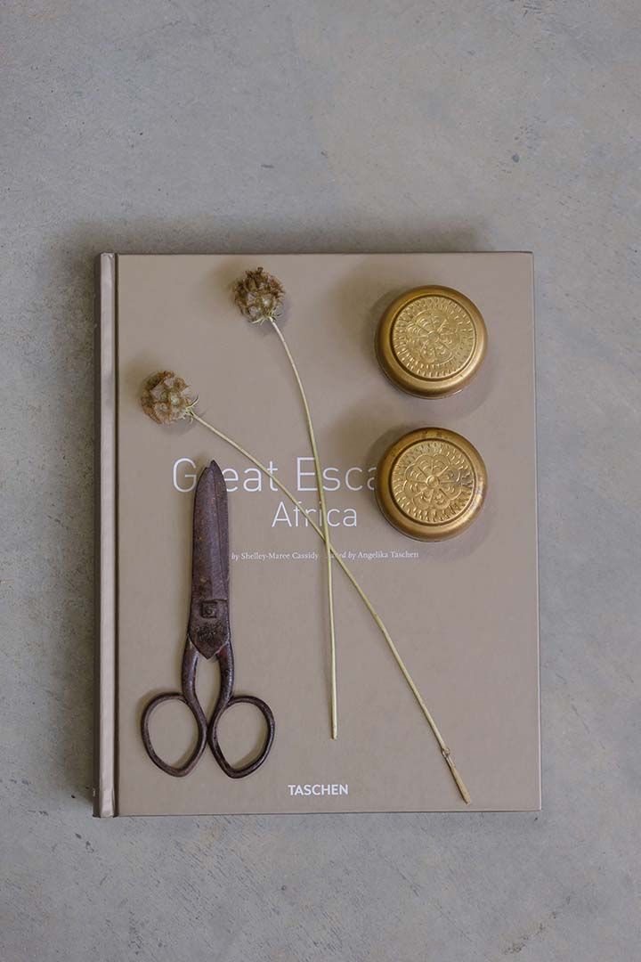 Trademark Living Gammel rå jernsaks