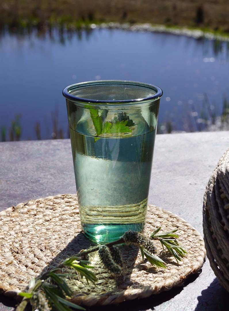 Trademark Living Isador drikkeglas - grøn