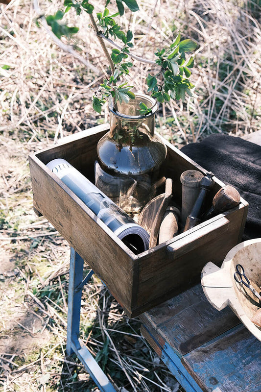 Trademark Living Kassi unik rå trækasse