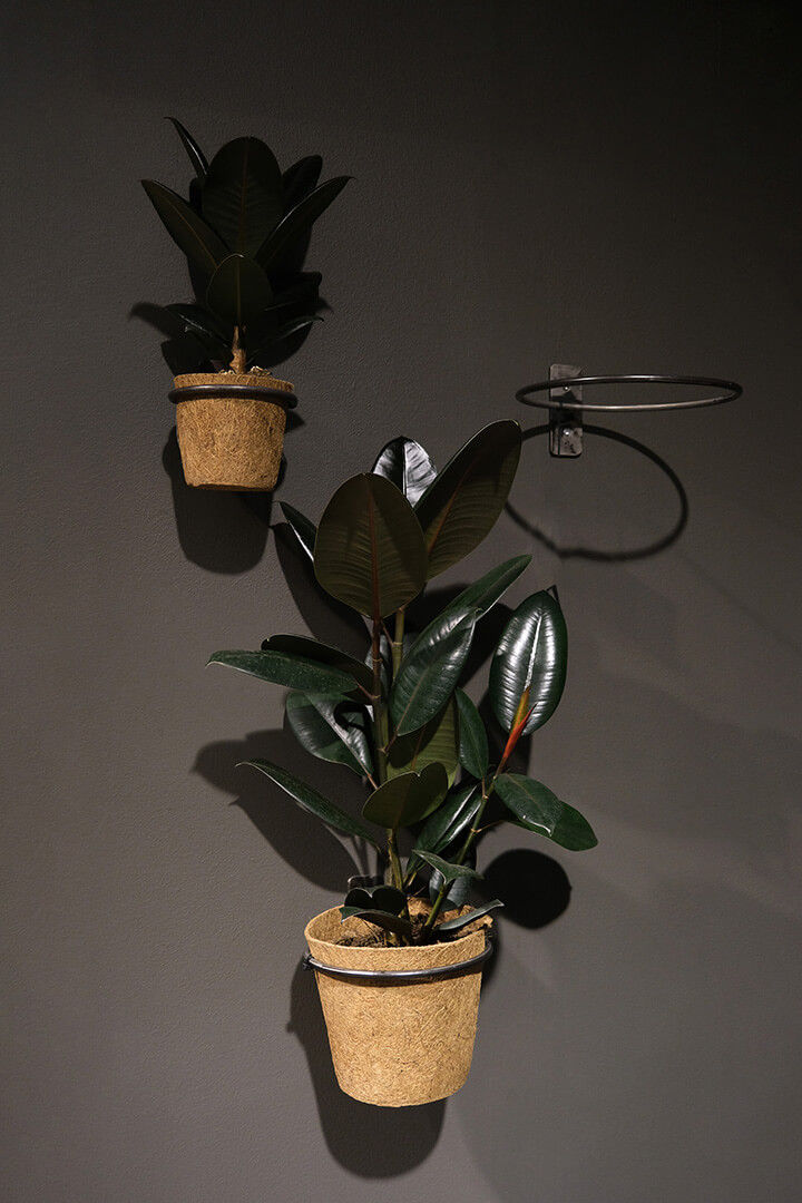 Trademark Living Minko vægbeslag med jernring - M