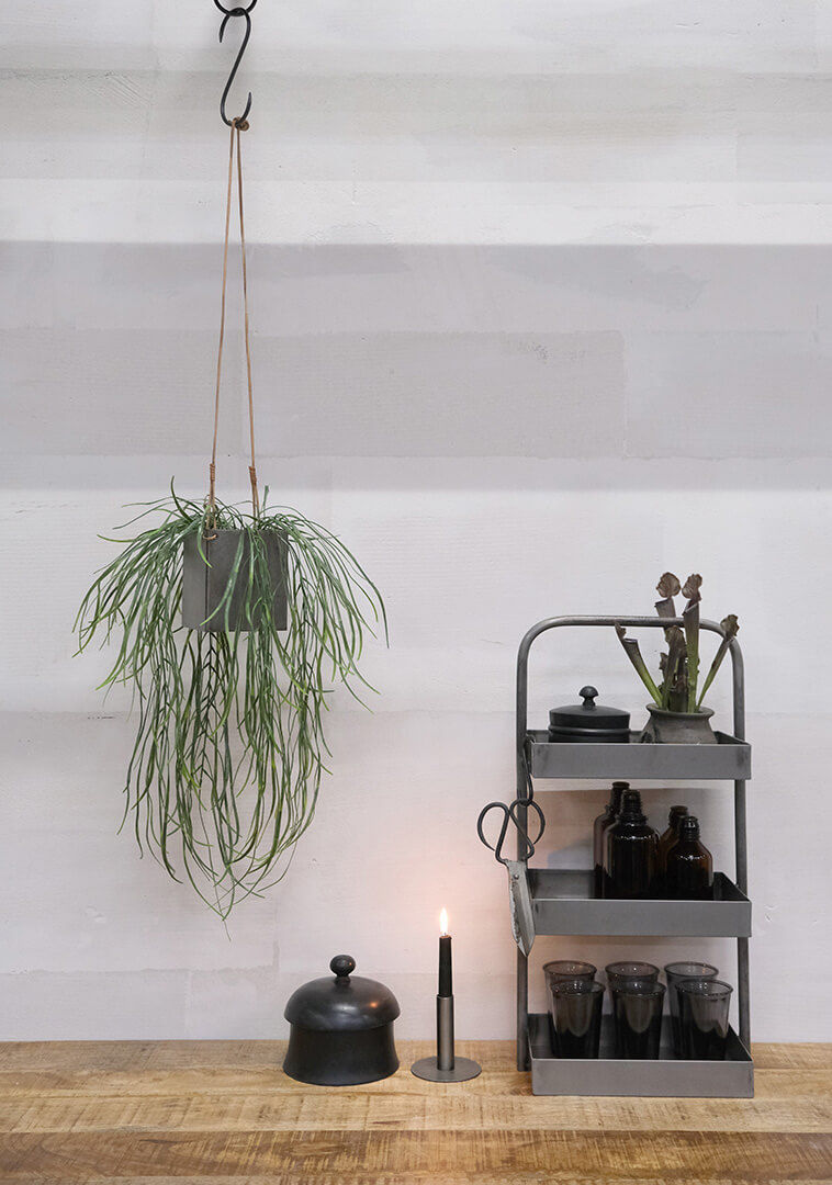 Trademark Living Mr. S krog - L