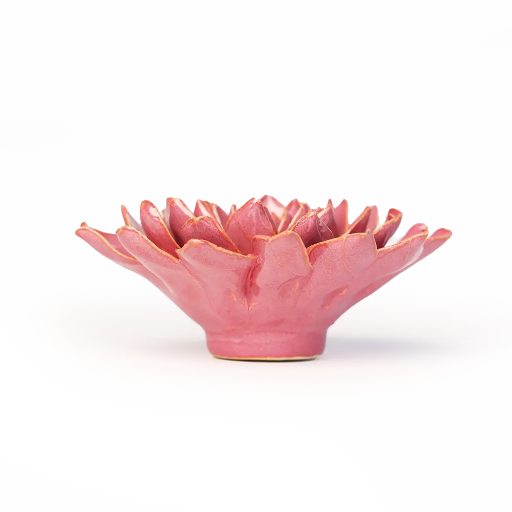 Lyserød azalea - æske med 6 stk.