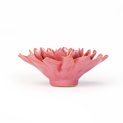 Lyserød azalea - æske med 6 stk.