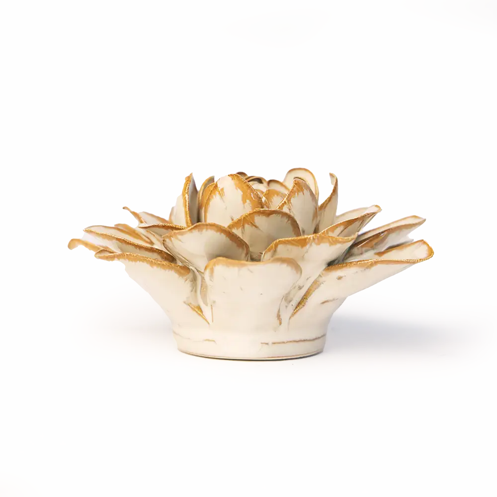 Stjerneglans Vandlilje