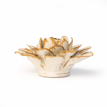 Stjerneglans Vandlilje