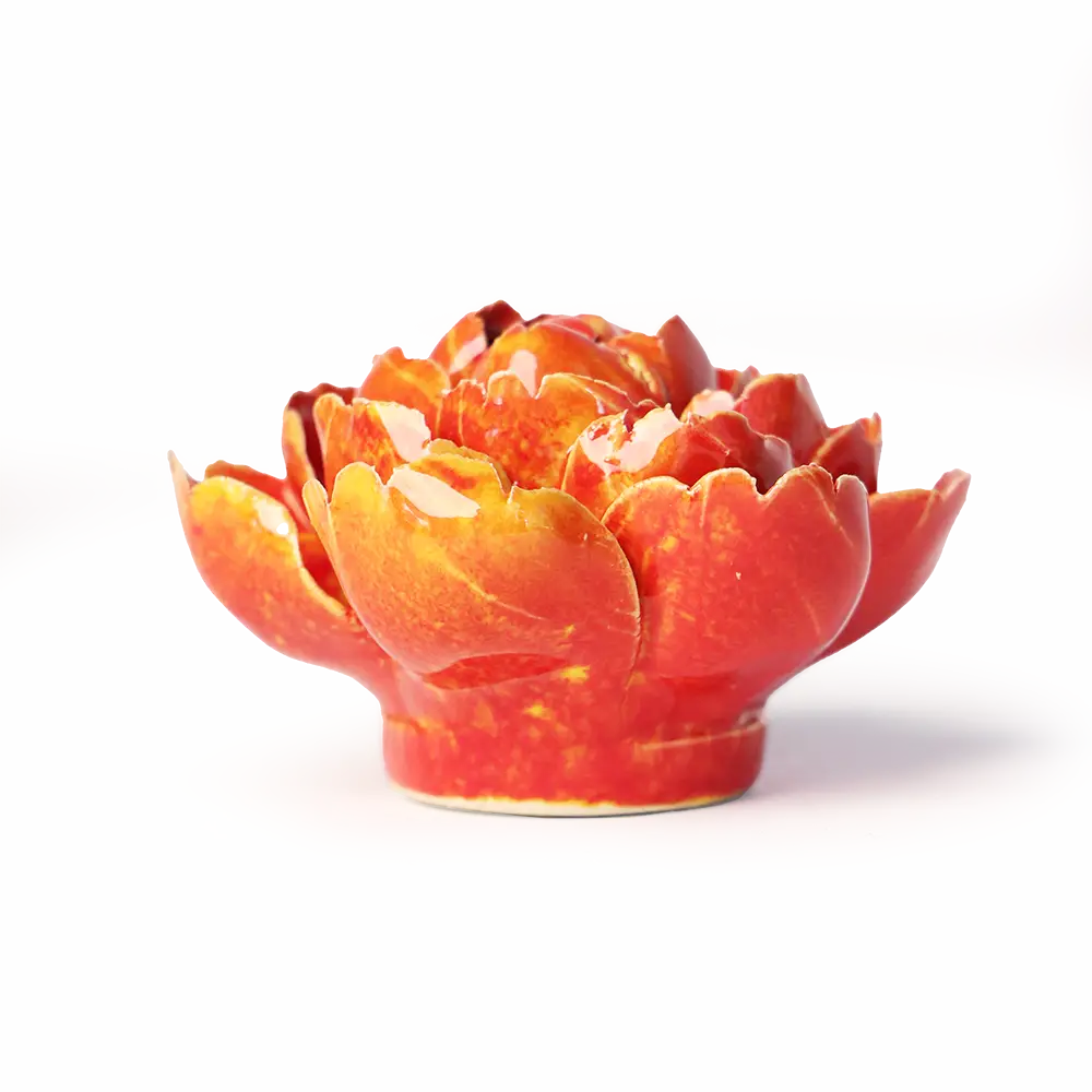 Orange Gul  Paree