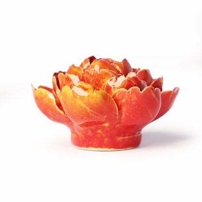 Orange Gul  Paree