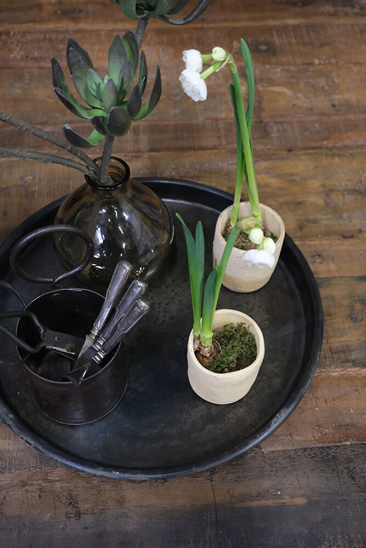 Trademark Living Istres potte