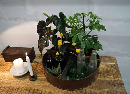 Trademark Living Agustin jernkasse med 4 rum