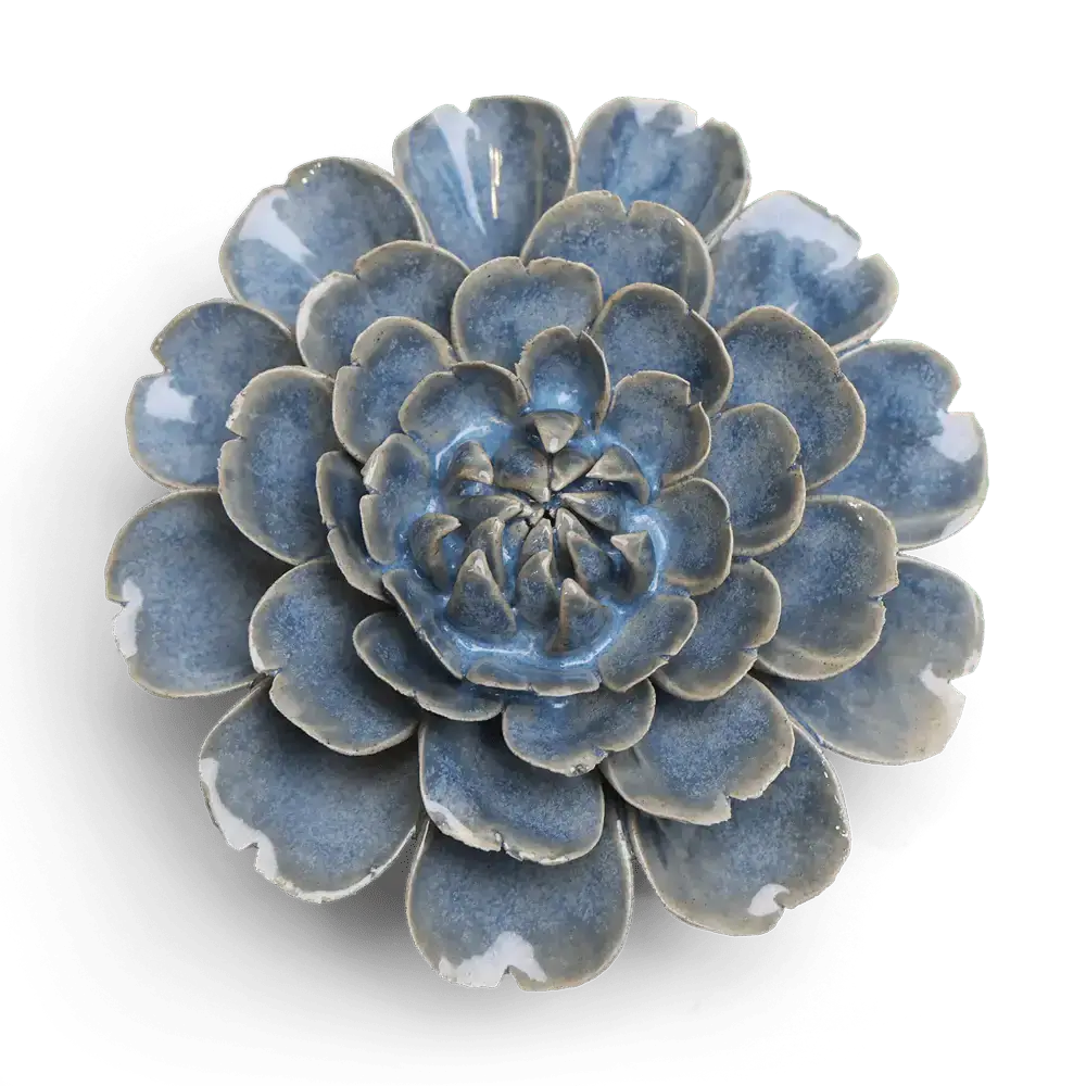 Blue Fiesta Morgenfrue - æske med 6 stk.