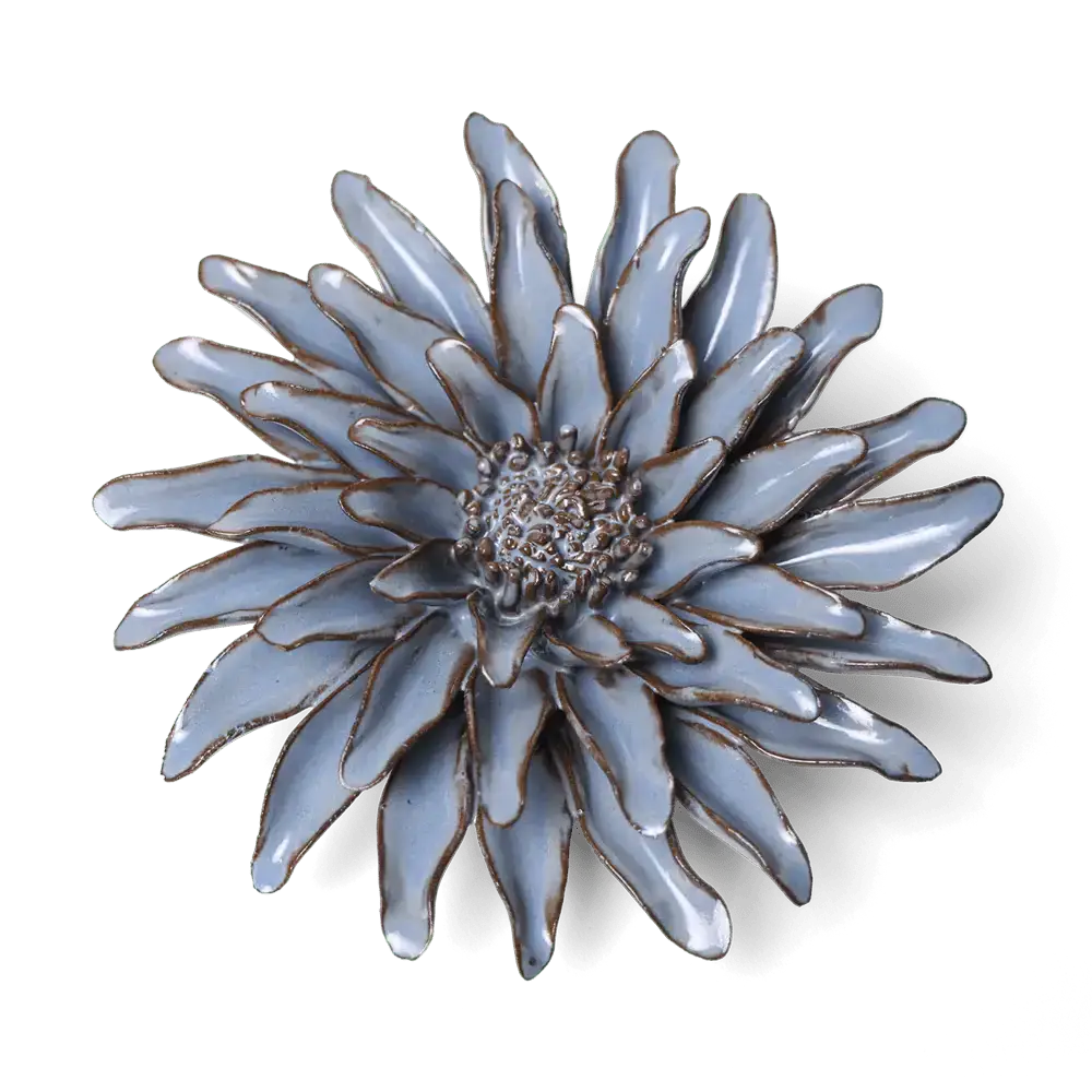Blå Grå Gerbera - æske med 6 stk.
