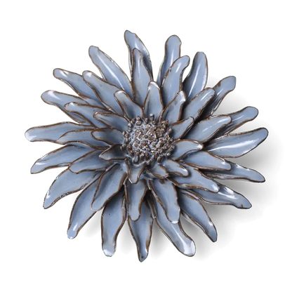 Blå Grå Gerbera - æske med 6 stk.